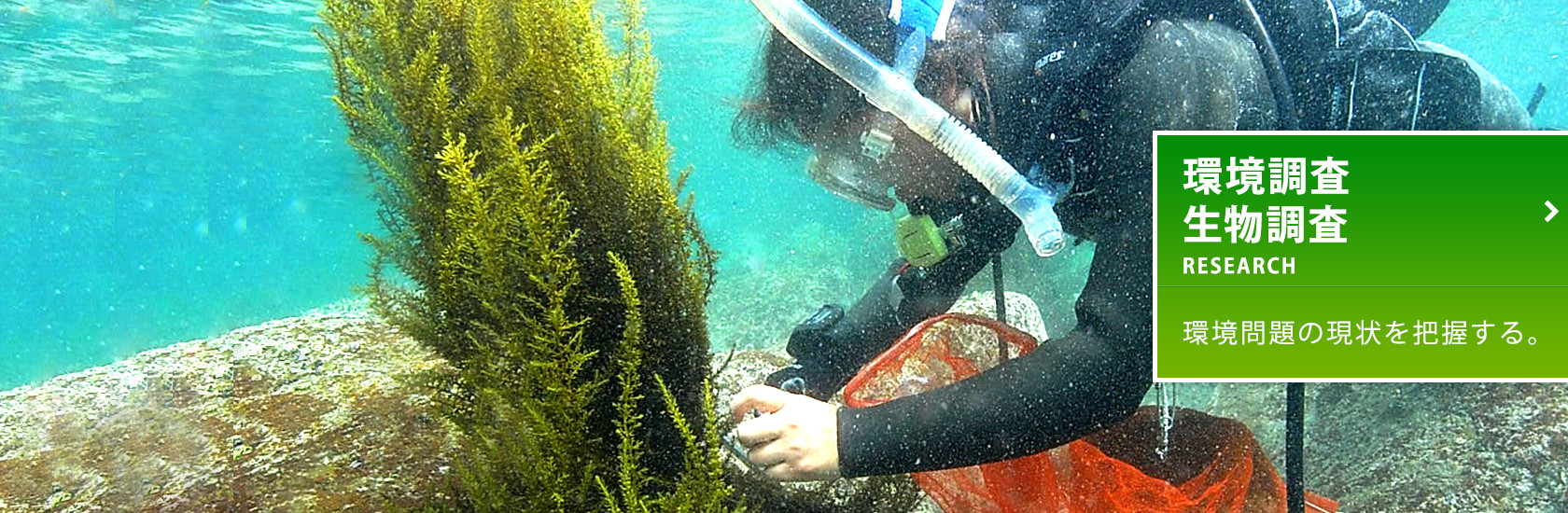 環境調査・生物調査